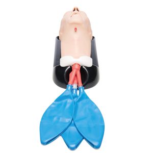 Geavanceerde AirSim Airway Management Trainer