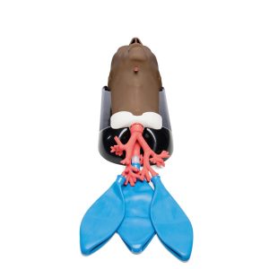 Geavanceerde AirSim Bronchoscopie Trainer