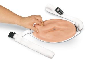 Geavanceerd Injectie Buik Model