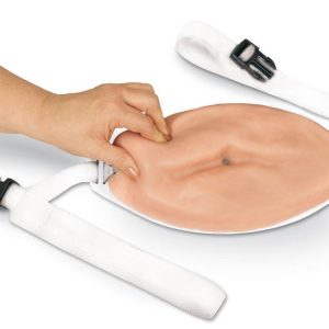 Geavanceerd Injectie Buik Model