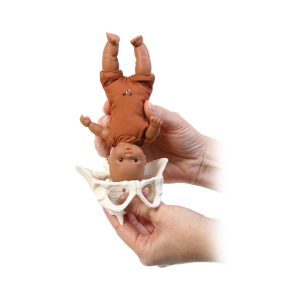 Mini Geboorte Model Set (6-delig)