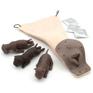 Geboortesimulatie Module voor Gynaecologische Trainingshond Bella