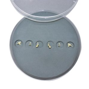 Gehoorbeentjes Set