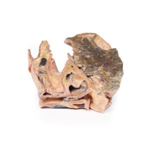 Geïnhaleerd Vreemd Lichaam - Luchtpijp, 3D Print