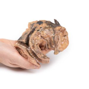 Geïnhaleerd Vreemd Lichaam - Luchtpijp, 3D Print
