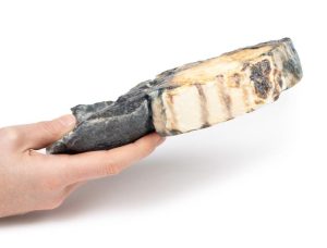 Gemetastaseerde Tumor in Long van eerdere teelbalkanker, 3D Print