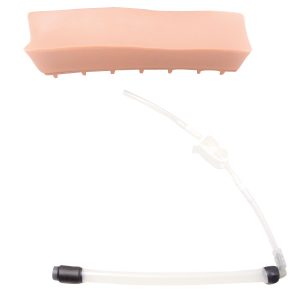 Geriatrische Huid voor Epidurale & spinale punctie oefenfantoom
