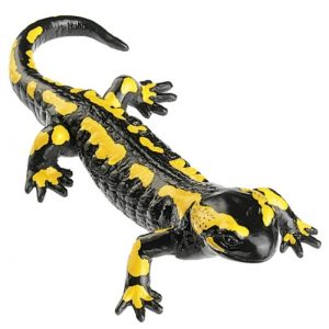 Salamander