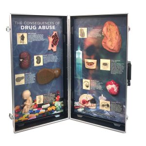 Gevolgen van Drugsgebruik, 3D Display