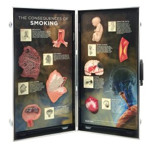 Gevolgen van Roken, 3D Display