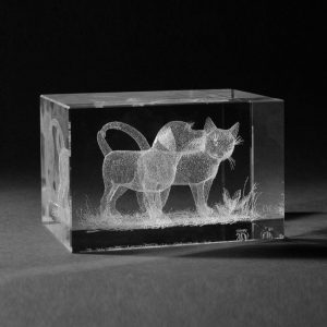 Glasblok Hond & Kat