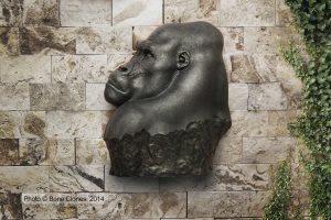 Gorilla Buste