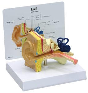 Kinderoor met infokaart