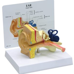 Kinderoor met infokaart