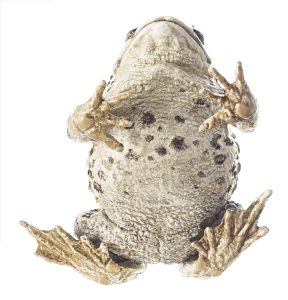 Groene Pad Model