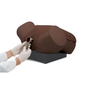Gynaecologische vaardigheid trainer