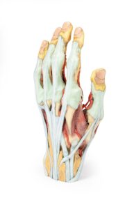 Hand, 3D Print