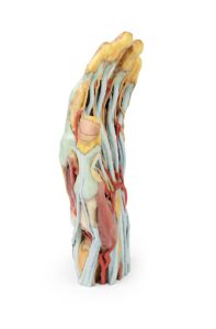 Hand, 3D Print