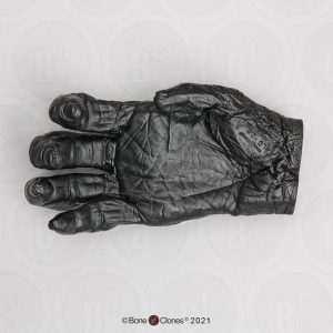 Hand Bonobo Model