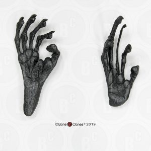 Hand en Voet Vingerdier Model