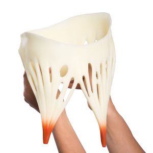 Hart, 8x ware grootte