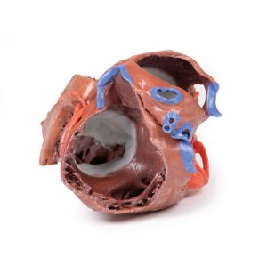 Hartreplica, 3D print, vergroot
