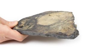 Hepatocellulair Carcinoom, 3D Print