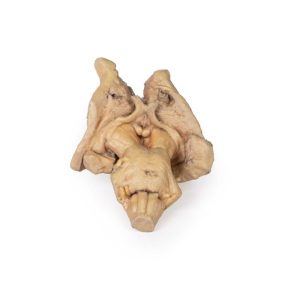 Hersenstam, 3D Print