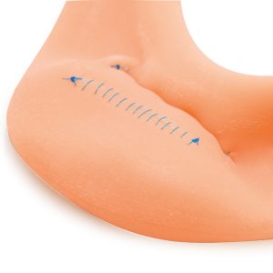 Holle Organen Hecht Trainer