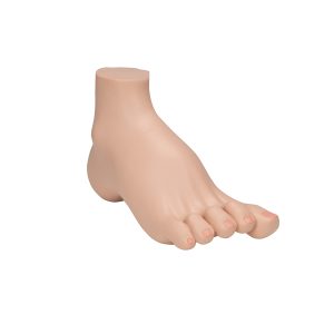 Holvoet (Pes cavus)