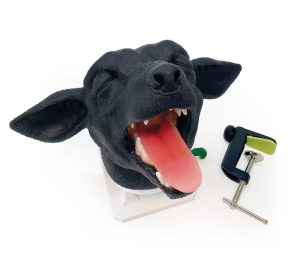 Hond Intubatie Trainer