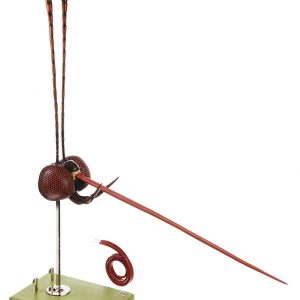 Hoofd Model Vlinder