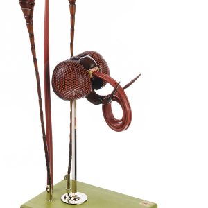 Hoofd Model Vlinder