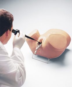 Hysteroscopie Simulator