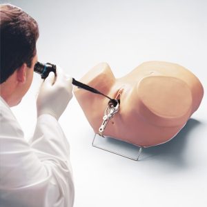 Hysteroscopie Simulator
