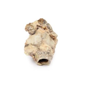 Hypofarynxcarcinoom, 3D Print