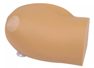 Amy Arm Intraossale Trainer