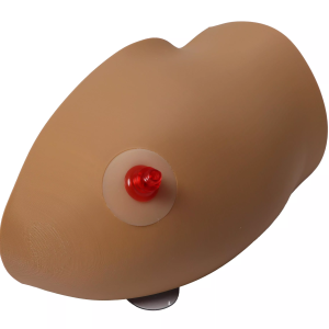Amy Arm Intraossale Trainer