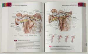 Grant's Atlas of Anatomy