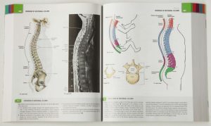 Grant's Atlas of Anatomy