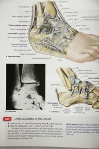 Grant's Atlas of Anatomy