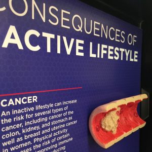 Inactieve Levensstijl Display