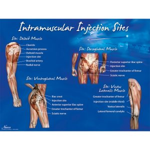 Intramusculaire Injectie Poster
