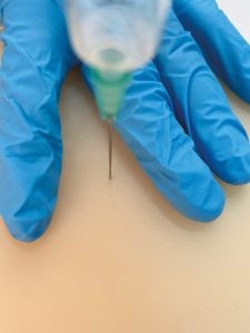 Intramusculaire Injectie Trainer Kat en Hond