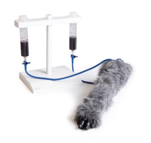 IV Injectietrainer Hondenpoot