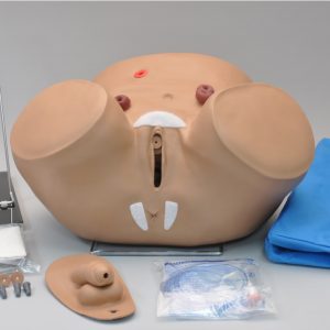 Katheterisatie- en Stoma Trainingsmodel (Man en Vrouw)