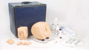 Katheterisatie Trainer Man/Vrouw met Suprapubische Toegang