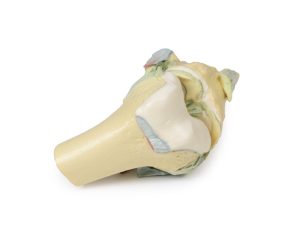 Knie, gebogen, 3Dprint