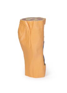 Knieholte met Dij, 3D Print