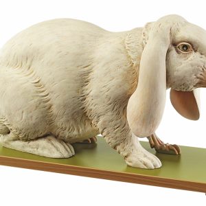 Konijn Model